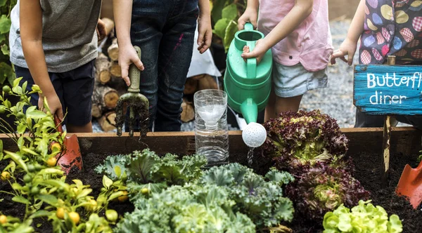 Grupo Niños Jardín Infantes Que Aprenden Jardinería Aire Libre Fotoset — Foto de Stock