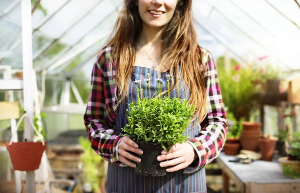 家の庭で植物を保持している女性 — ストック写真