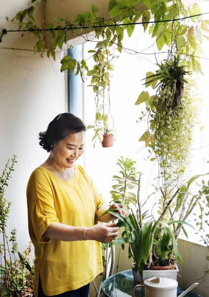 Žena se stará o rostliny — Stock fotografie