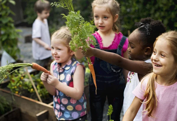 Skupina Dětí Mateřské Školy Učení Zahradnictví Venku Sada Originál Fotek — Stock fotografie