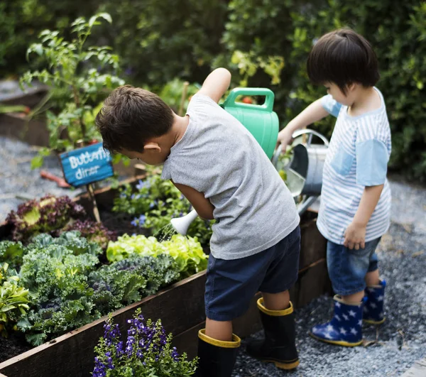 Niños Pequeños Regando Las Plantas Fotoset Original — Foto de Stock