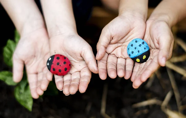 Coccinella Giardino Fotoinsieme Originale — Foto Stock