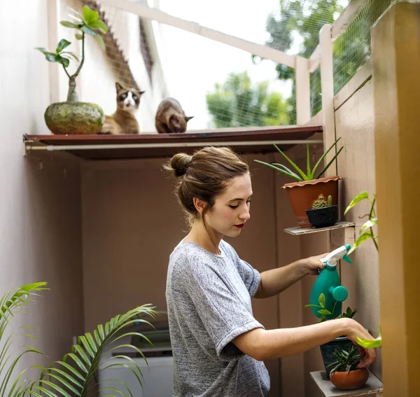 Woman gardening at home Stock Image