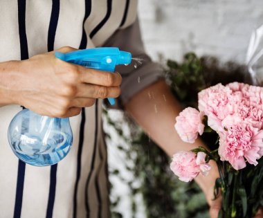 Çiçekler için püskürtme kadın yenileniyor 