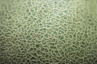 Taze honeydew meyve, özgün photoset