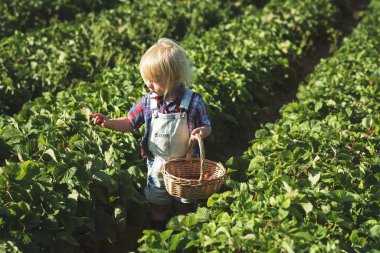 Çiçek alandaki küçük çocuk