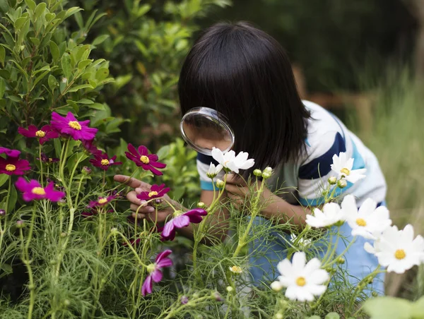 Gadis Kecil Mengamati Bunga Foto Asli — Stok Foto