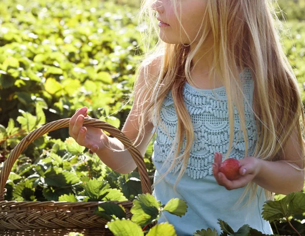 Menina com cesta e morango — Fotografia de Stock