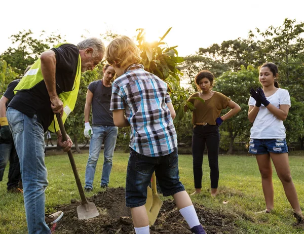 Grupo Personas Plantan Árbol Juntos Aire Libre Fotoset Original — Foto de Stock