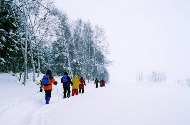 İnsanlarla Cross country kayak Hokkaido, Japonya.