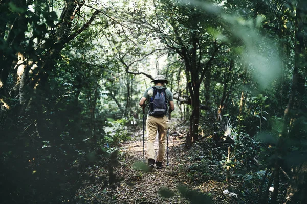 Visão Traseira Homem Trekking Selva — Fotografia de Stock