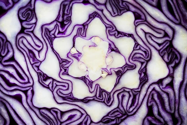 Macro Shot Cut Red Cabbage — Stock Photo, Image