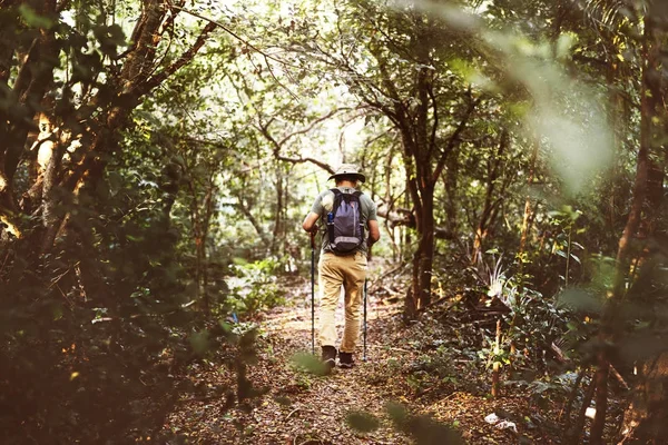 Πίσω Όψη Στον Άνθρωπο Πεζοπορία Στη Ζούγκλα — Φωτογραφία Αρχείου