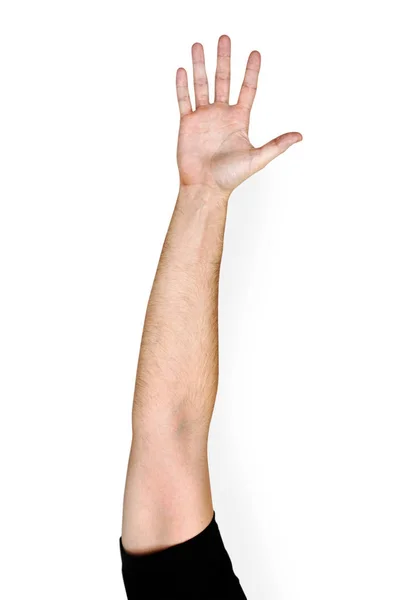 Mão Humano Caucasiano Mostrando Cinco Dedos — Fotografia de Stock