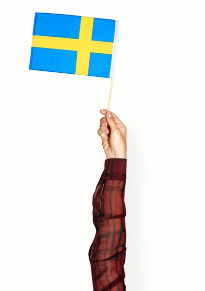 Hand Holding Variation Flag — Stock Photo, Image