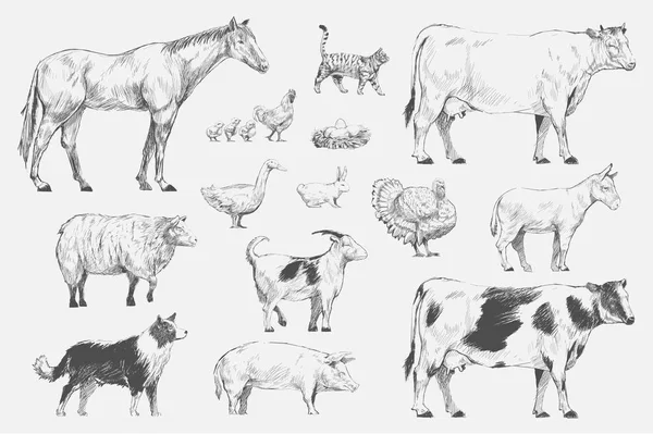 Ilustración Dibujo Estilo Animales Colección —  Fotos de Stock