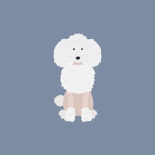 Illustration Dog Icon Collection — Stock Photo, Image