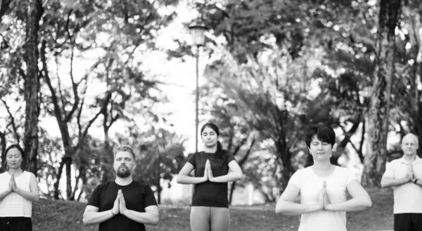 Människor Som Gör Yoga Park — Stockfoto