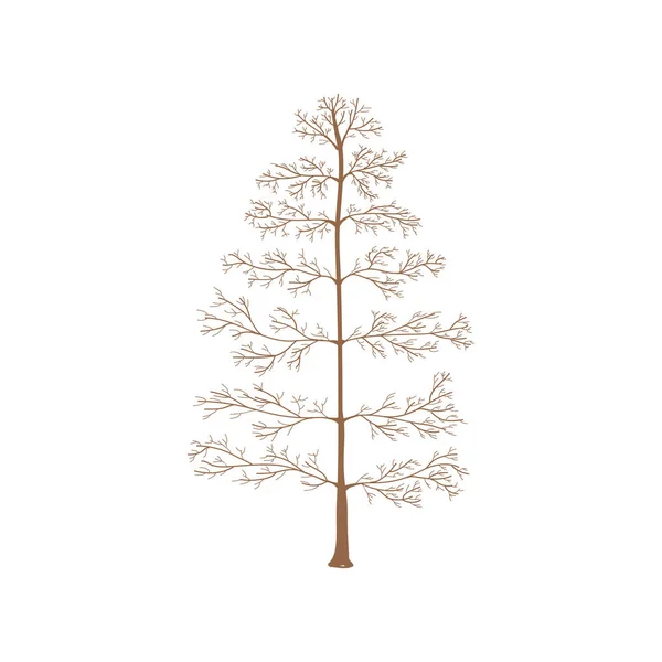 Desenho Ilustração Árvore Arte — Fotografia de Stock