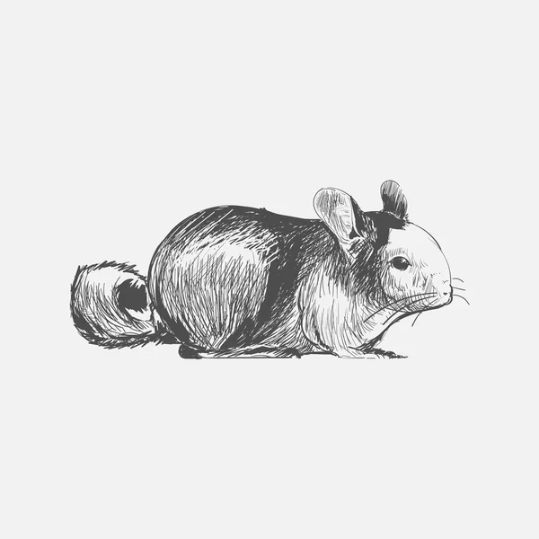 Illustratie Tekening Stijl Van Rat — Stockfoto