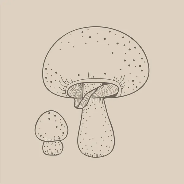 Illustration Kind Art Mushroom — Stock Photo, Image