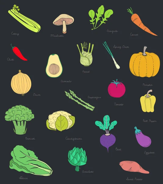 Diseño Ilustrativo Del Concepto Vegetal — Foto de Stock