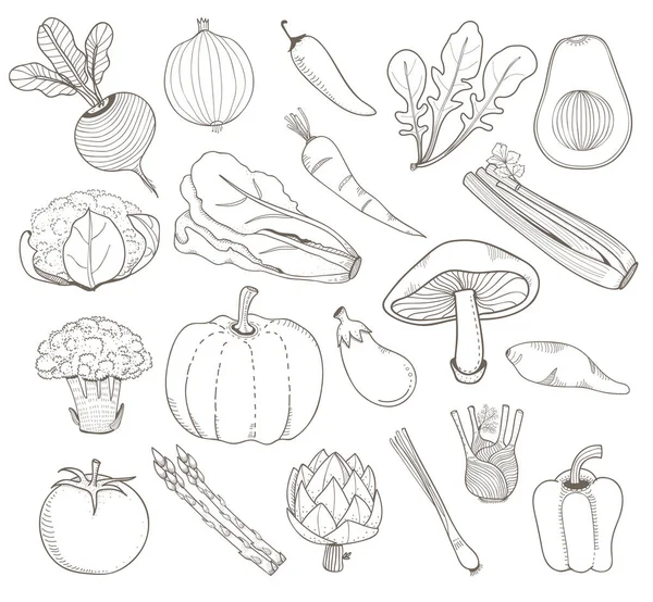 Εικονογράφηση Σχεδιασμός Λαχανικών Της Έννοιας — Φωτογραφία Αρχείου