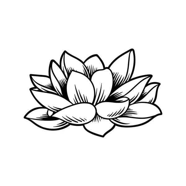 Ilustración Diseño Estilo Japonés Tradición Flor Loto — Foto de Stock