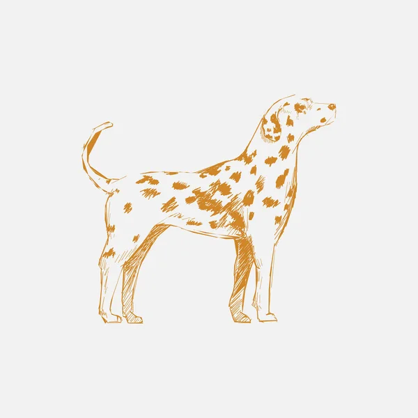 Köpek Çizim Çizim Tarzı — Stok fotoğraf