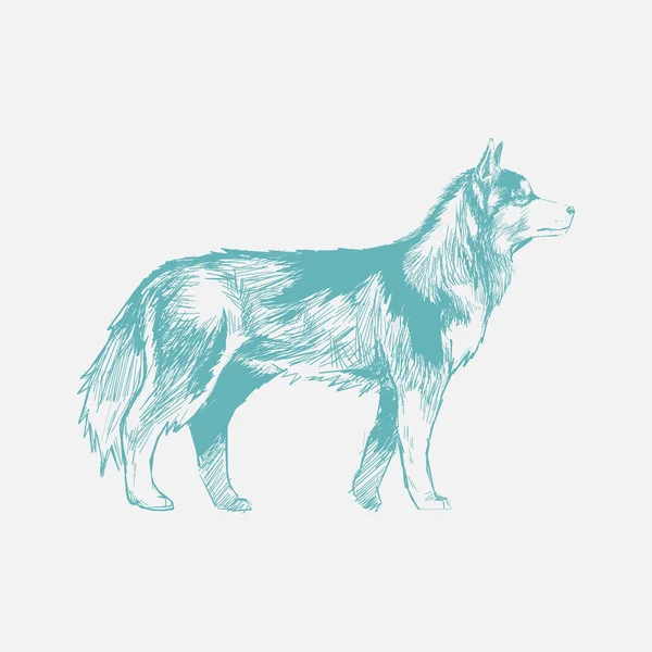 Illustration Drawing Style Dog — Stock Photo, Image