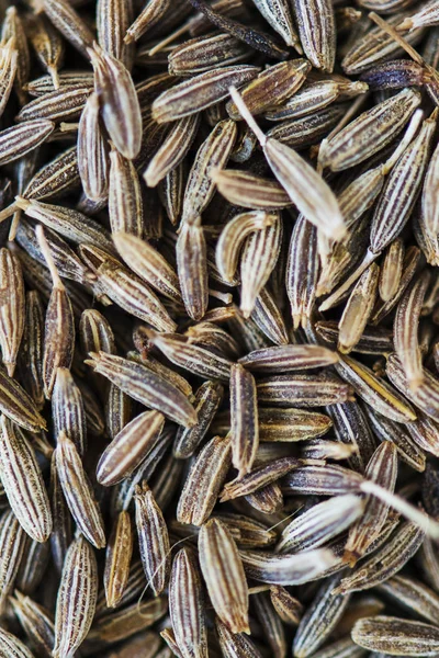 Closeup Cumin Seed Original Photoset — Stock Photo, Image