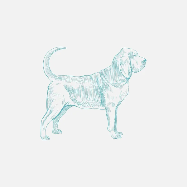 Styl Rysowania Ilustracja Pies — Zdjęcie stockowe