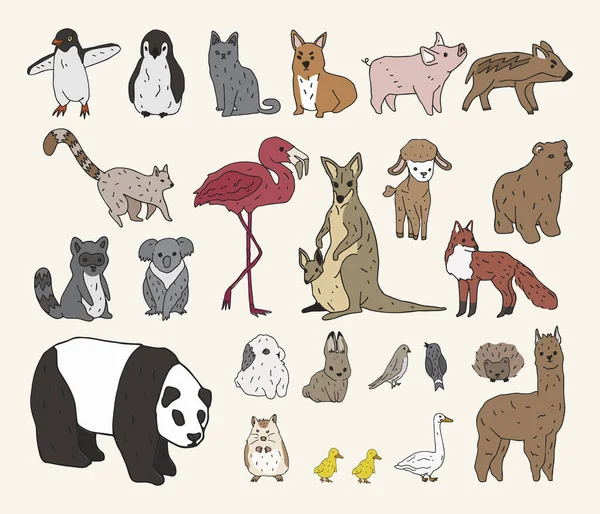 Diseño Ilustrativo Del Concepto Animales — Foto de Stock