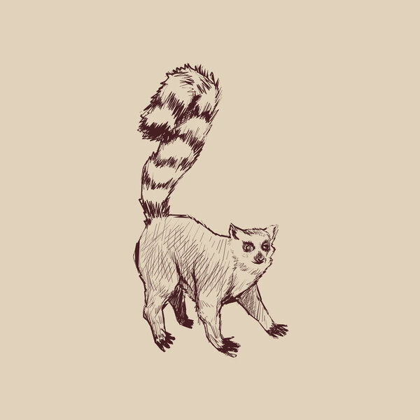 Иллюстрационный стиль рисунка обезьяны
