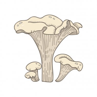 Sanat mantar tür gösterimi