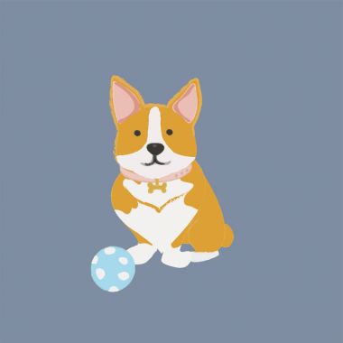 Köpek simgesi toplama gösterimi 