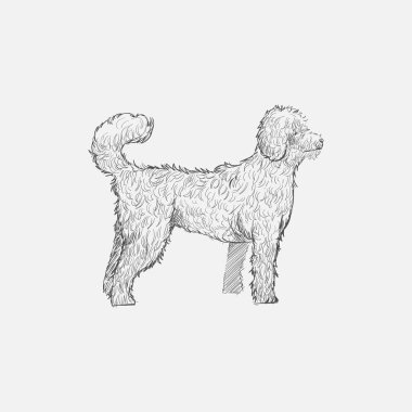 Köpek çizim çizim tarzı