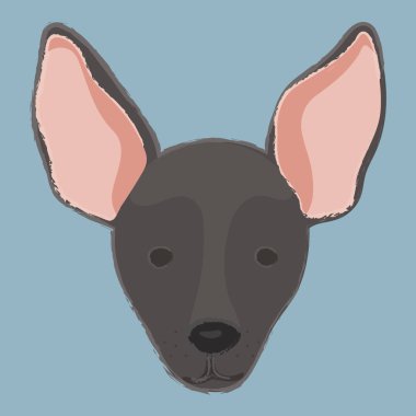 Namlu bir köpek resmi