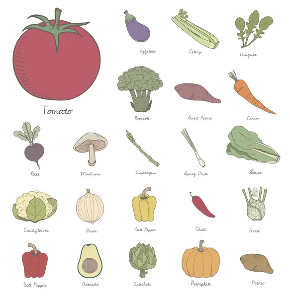 野菜コンセプトのイラスト デザイン — ストック写真