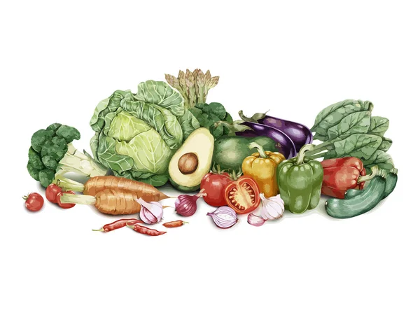 Ilustración Colección Verduras Dibujadas Mano — Foto de Stock