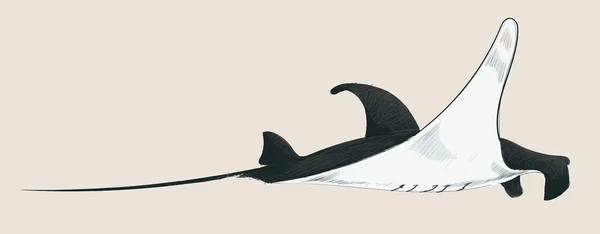 Иллюстрационный Стиль Рисования Морских Рыб — стоковое фото