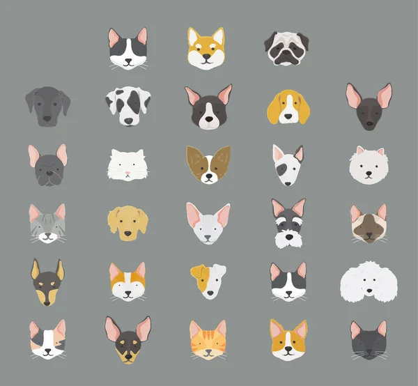 Illustration of dogs icon collection