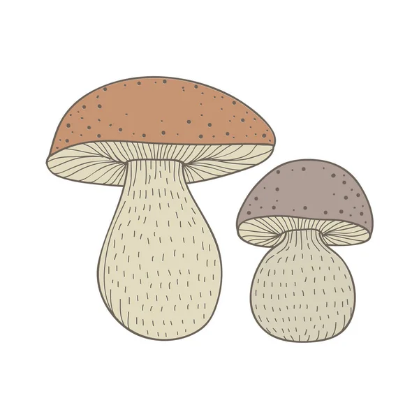 Illustration Kind Art Mushroom — Stock Photo, Image
