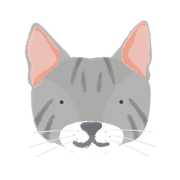 Ilustração Focinho Gato — Fotografia de Stock