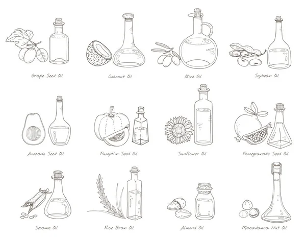 Illustration Design Vegetable Concept — Stock Photo, Image