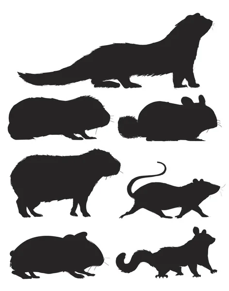 Ilustrace Kreslení Styl Kolekce Potkanů — Stock fotografie