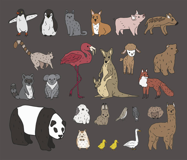 Illustration design of animals concept