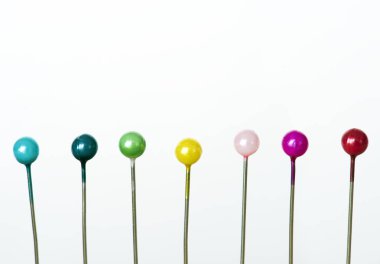Portre renkli Pins