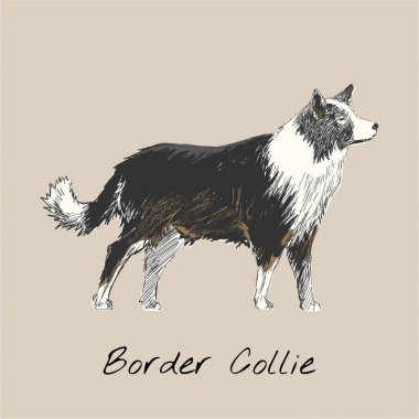 Köpek çizim çizim tarzı