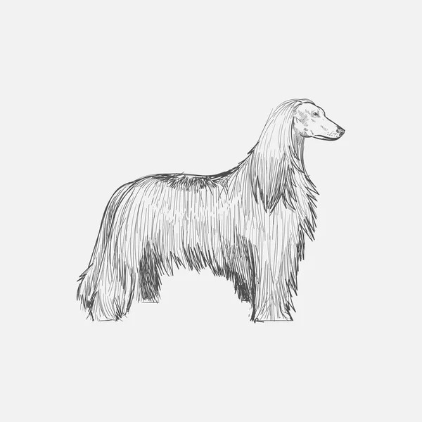 Styl Rysowania Ilustracja Pies — Zdjęcie stockowe
